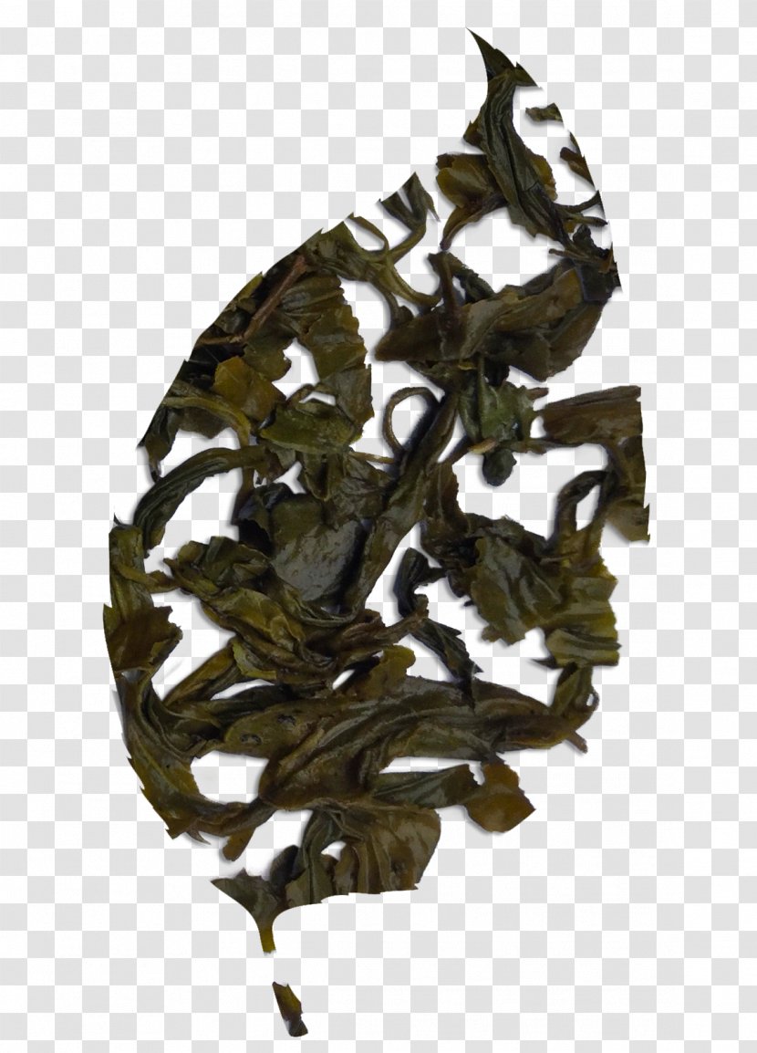 Da Hong Pao Tieguanyin Oolong Dianhong Bai Mudan - Chinese Tea Transparent PNG