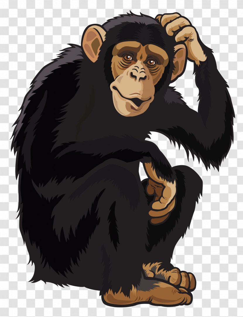 Chimpanzee Ape Monkey Clip Art - Royalty Free - Clipart Image Transparent PNG