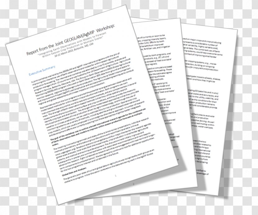 Document - Paper - Executive Summary Transparent PNG