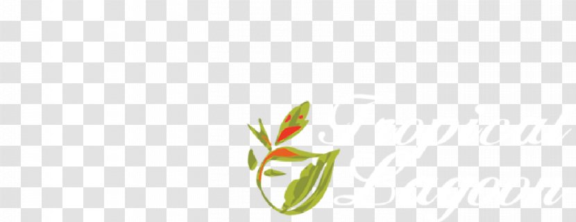 Petal Desktop Wallpaper Plant Stem Bud Leaf Transparent PNG