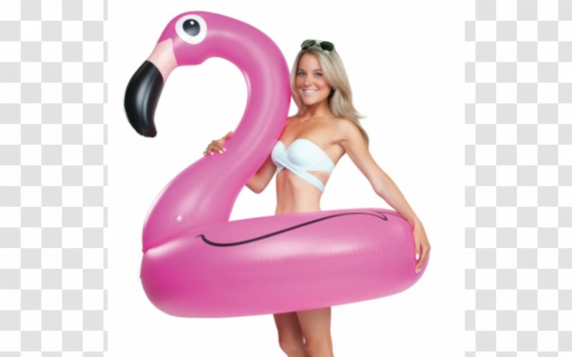 Inflatable Swimming Pool Flamingo Swim Ring Float - Arm Transparent PNG