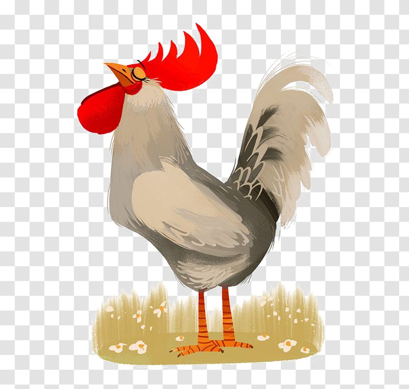 Chicken Rooster Illustrator Poster Illustration - Beak - Cock Transparent PNG