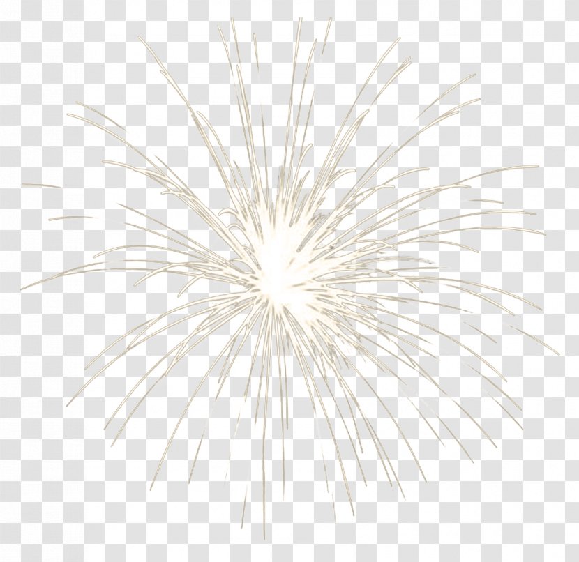 Black And White Pattern - Symmetry - Fireworks Explosive Material Free To Pull Transparent PNG