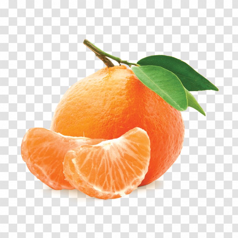 Mandarin Orange Desktop Wallpaper - Tree - Cartoon Transparent PNG
