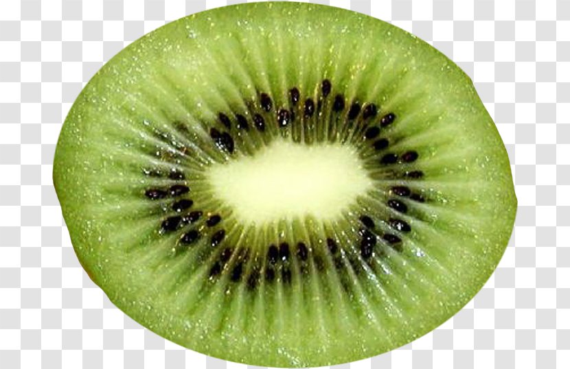 Kiwifruit Frutti Di Bosco Hardy Kiwi Food Transparent PNG