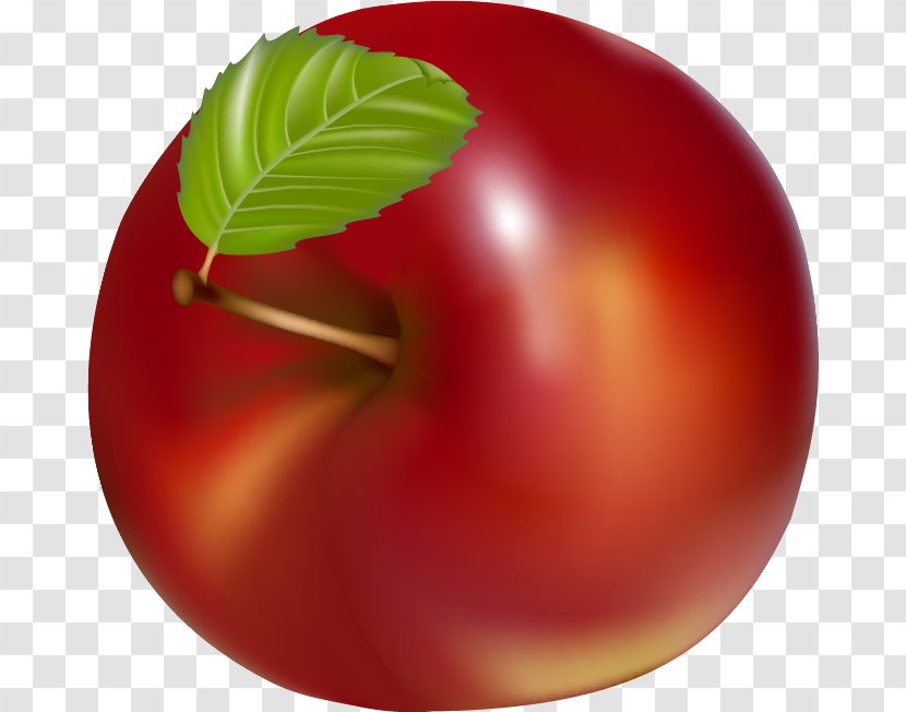 Peach Natural Foods Tomato Plum - Mcintosh Transparent PNG