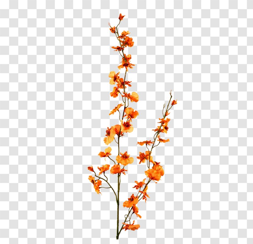 Flower Red - Flora - Orange Bouquet Transparent PNG