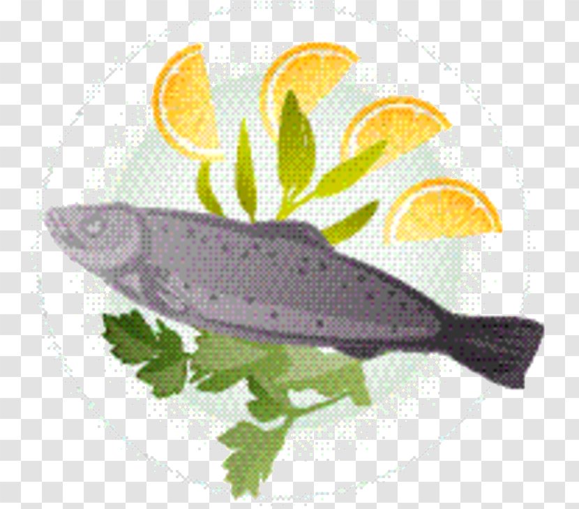 Fish Cartoon - Seafood Cuisine Transparent PNG
