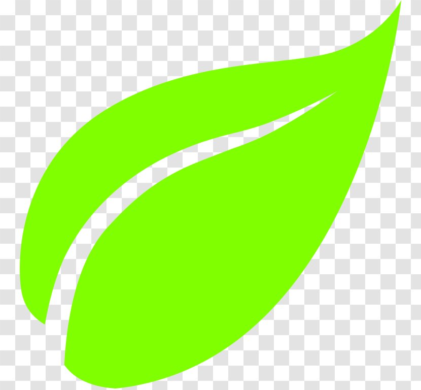 Green Tea Leaf - Computer Software - Icon Transparent PNG