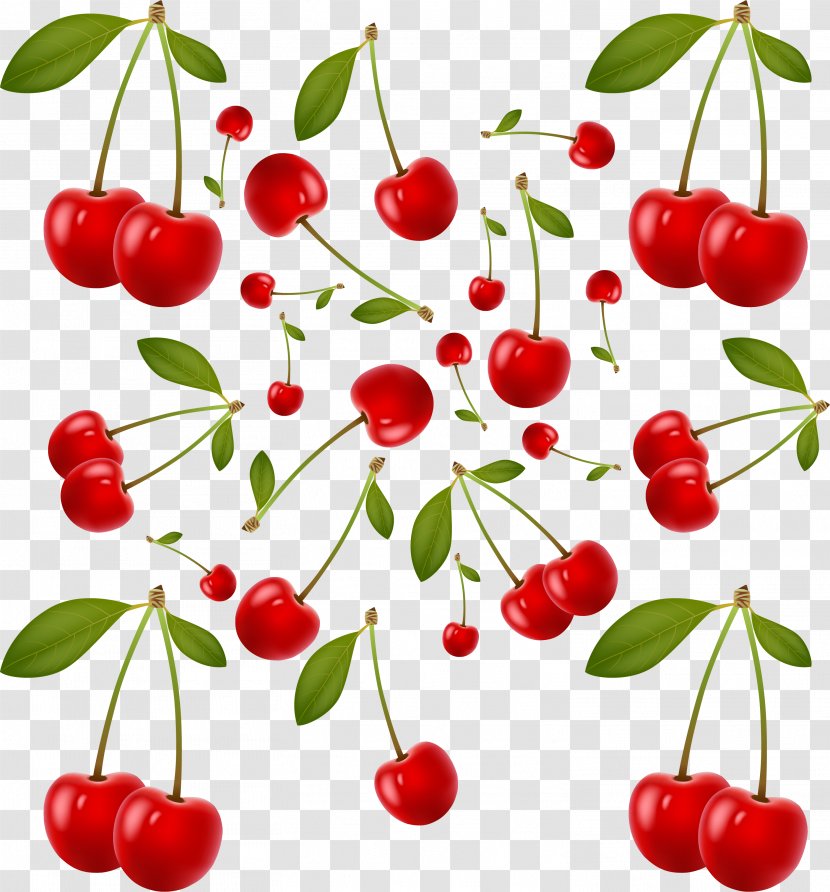 Barbados Cherry Auglis - Acerola - Red Simple Fruit Transparent PNG