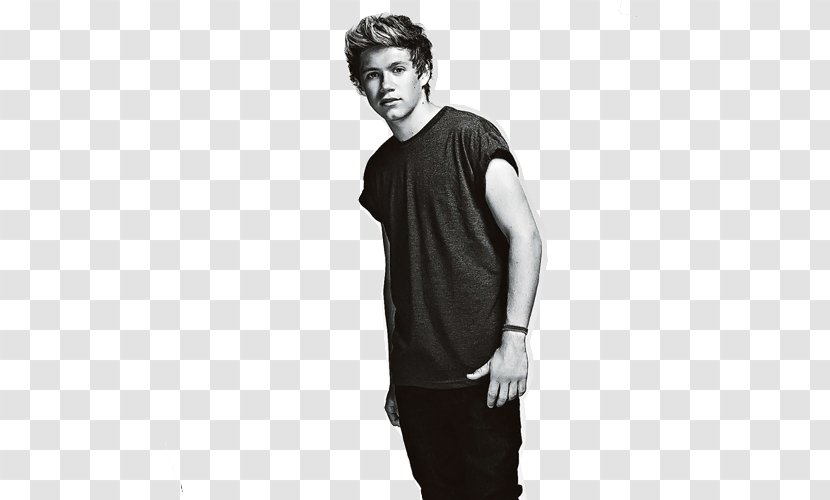 Mullingar One Direction Where We Are Tour IPhone Home - Gentleman - Niall Horan Transparent PNG