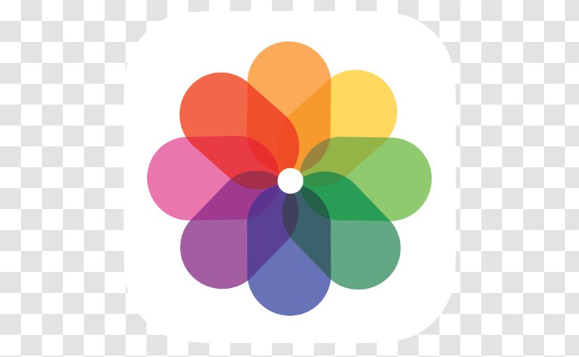 Apple Photos IOS 7 App Store - Flower - Mac Os X Transparent PNG