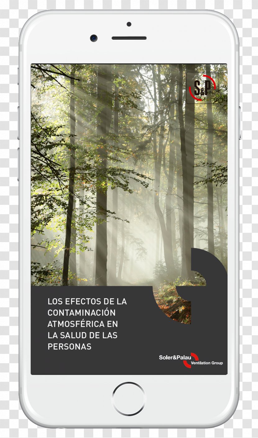 Jeep Forest Poster Sunlight Air Pollution - Tree Transparent PNG