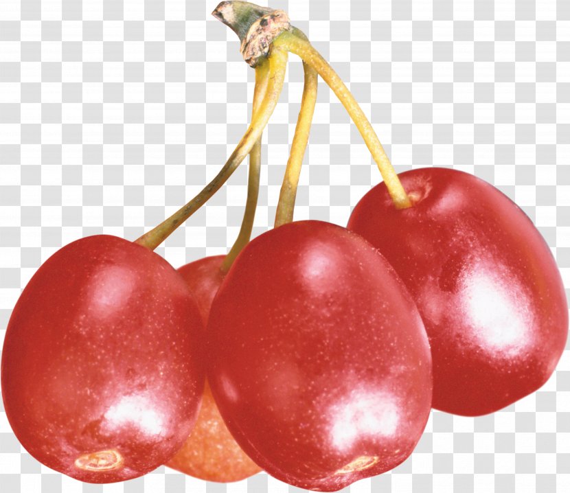 Lingonberry Cherry Food Fruit - Mountainash Transparent PNG