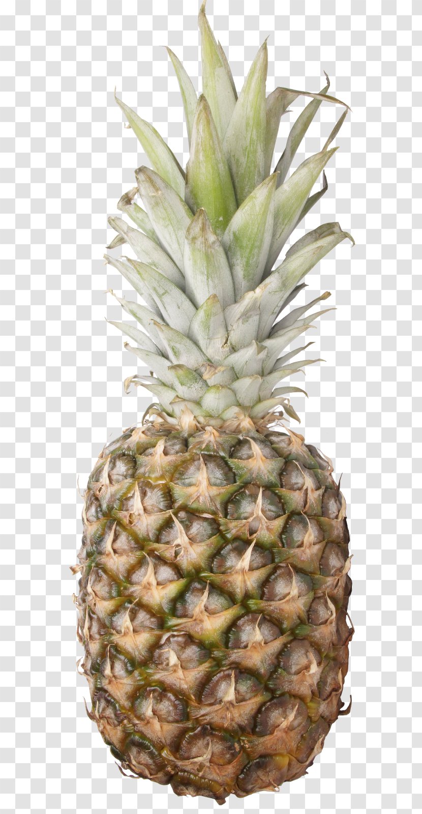 Pineapple Fruit July Transparent PNG