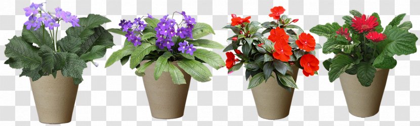 Grow Light Flower Light-emitting Diode - Arranging Transparent PNG