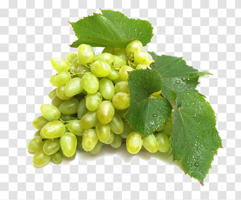Red Wine Verjuice Grape Green - Drink - HD Grapes Picture Material Download Transparent PNG