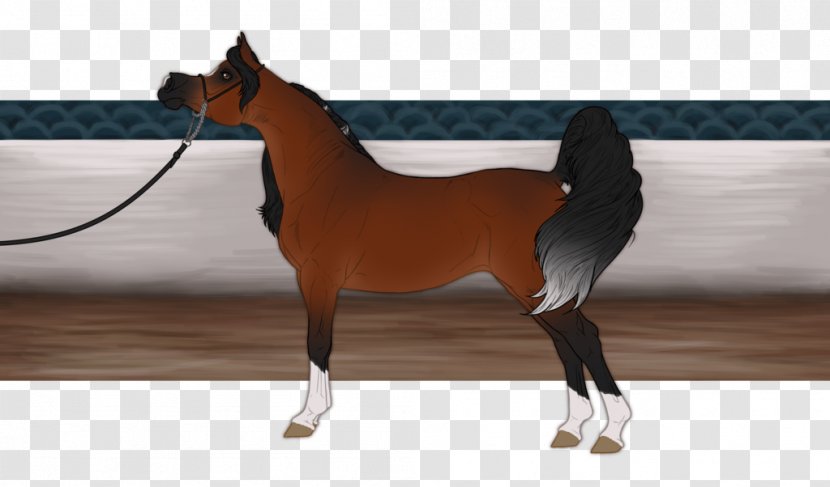 Stallion Mustang Foal Mare Halter - Horse Like Mammal Transparent PNG