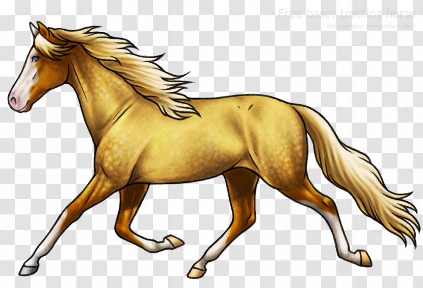 Mane Mustang Foal Stallion Colt - Arabian Horse Transparent PNG