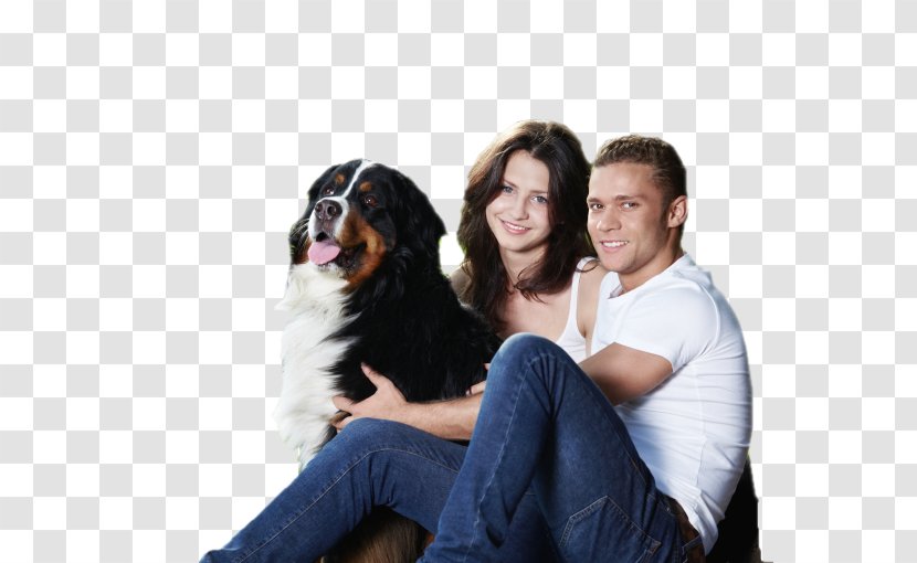 Dog Breed Puppy Love Companion - Like Mammal - Romantic Couple Transparent PNG