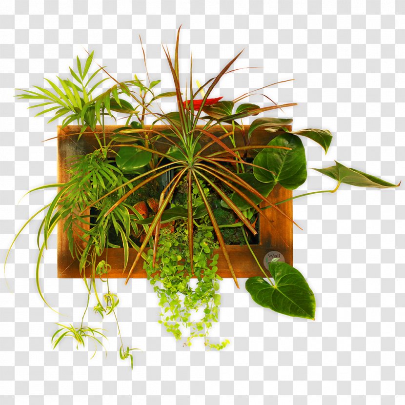 Houseplant Flowerpot Herb - Plant Transparent PNG