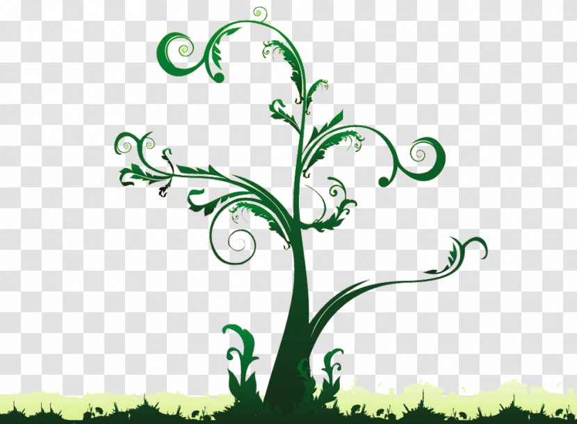 Photography Tree - Floral Design - Green Concise Dream Transparent PNG