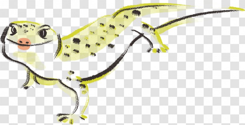 Lizard Frog Line Art Character Clip - Leopard Gecko Transparent PNG
