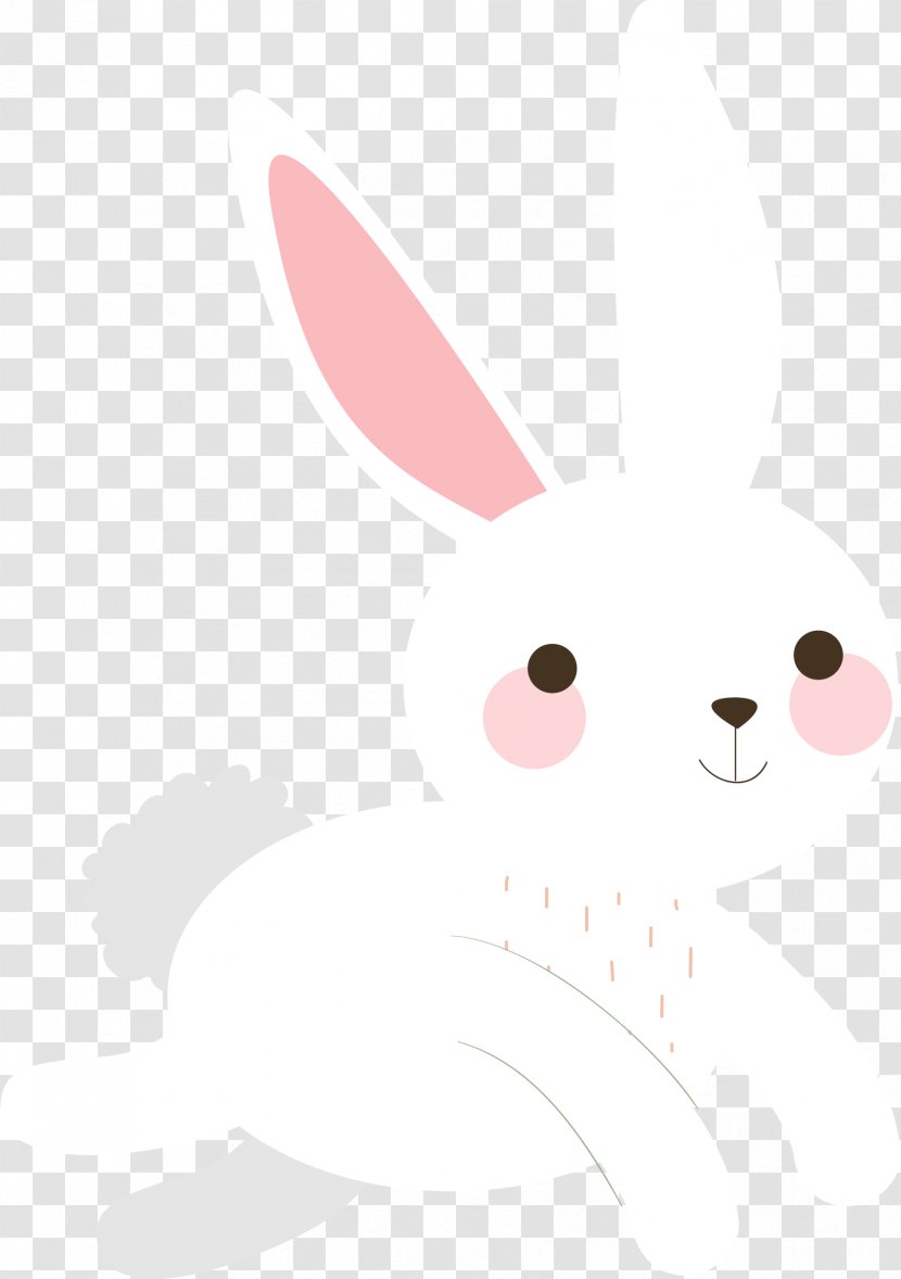 Vertebrate Cartoon - White - Rabbit Transparent PNG