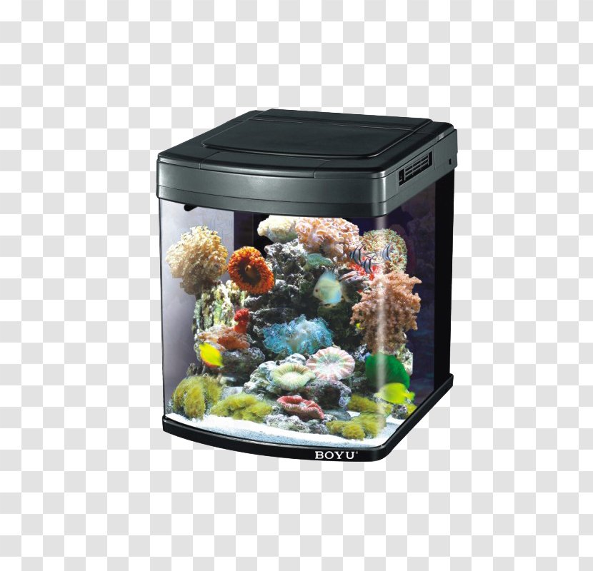 Aquarium Protein Skimmer Aerator Fish Akwarystyka Morska - Freshwater Transparent PNG