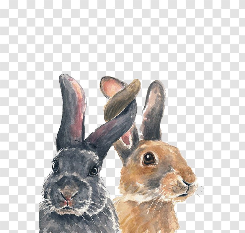Bunnies - Crayon - Rabbit Transparent PNG