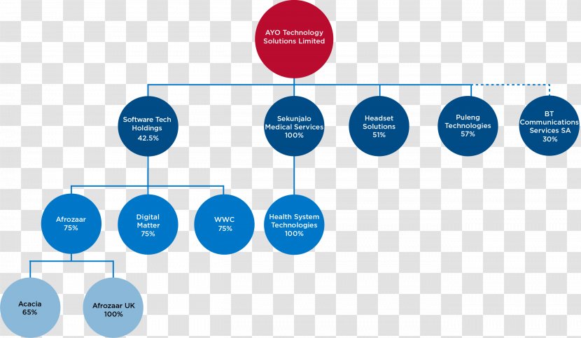 Organization Wiring Diagram Business Brand - Area Transparent PNG