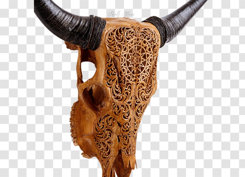 Horn Cattle Skull Carving Antique - Like Mammal Transparent PNG