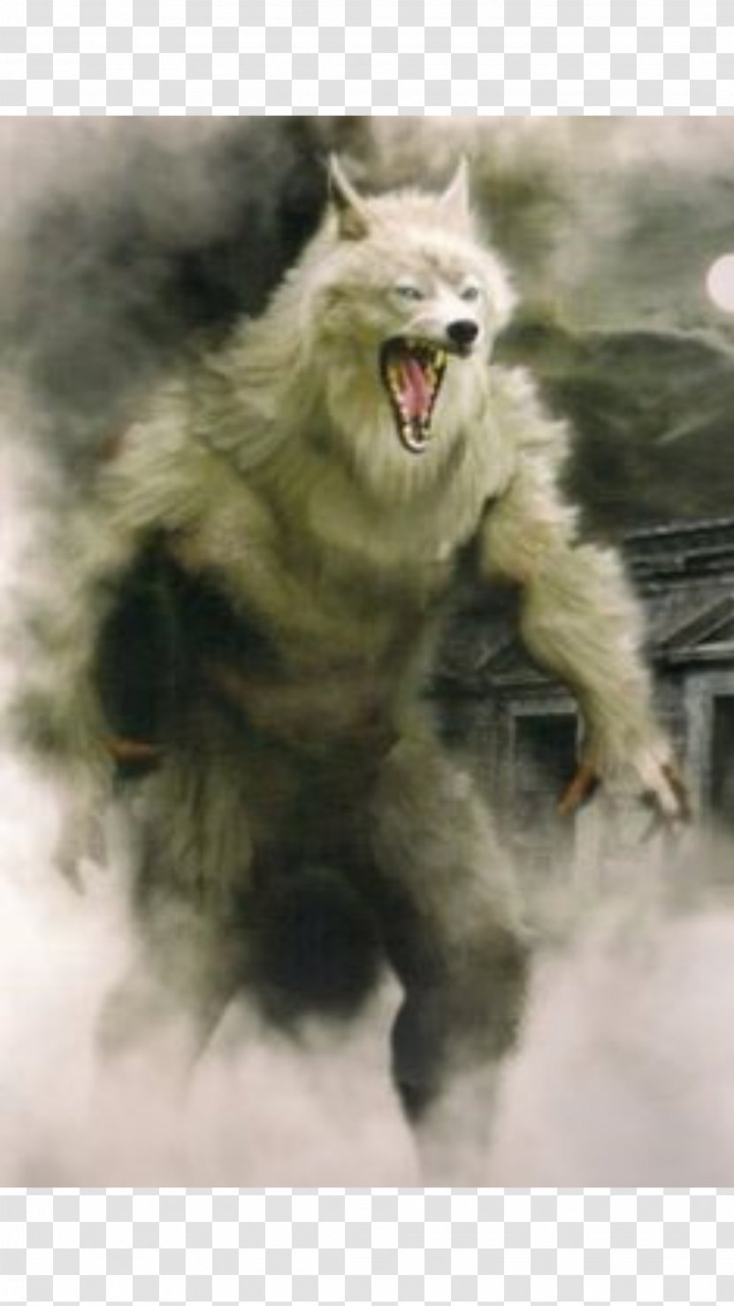 Werewolf Vampire Fantasy Film Myth - Legend Transparent PNG
