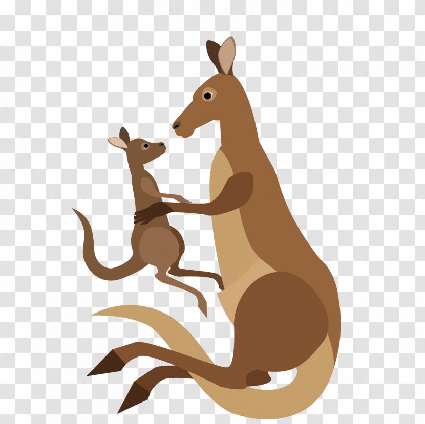 Kangaroo Cartoon Macropodidae - Fauna - Mother And Child Vector Transparent PNG