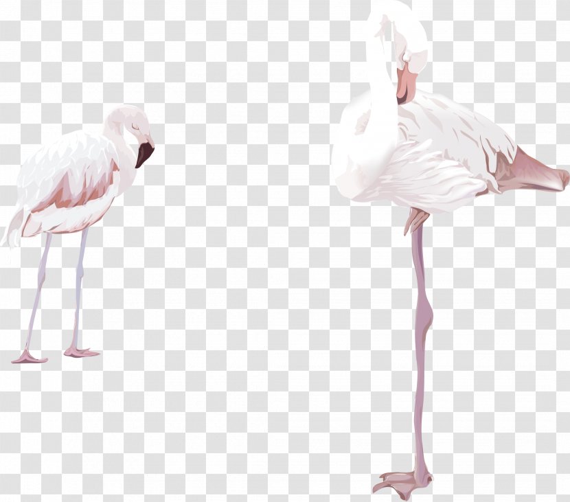 Flamingo Clip Art - Pink - Two Vector Watercolor Flamingos Transparent PNG