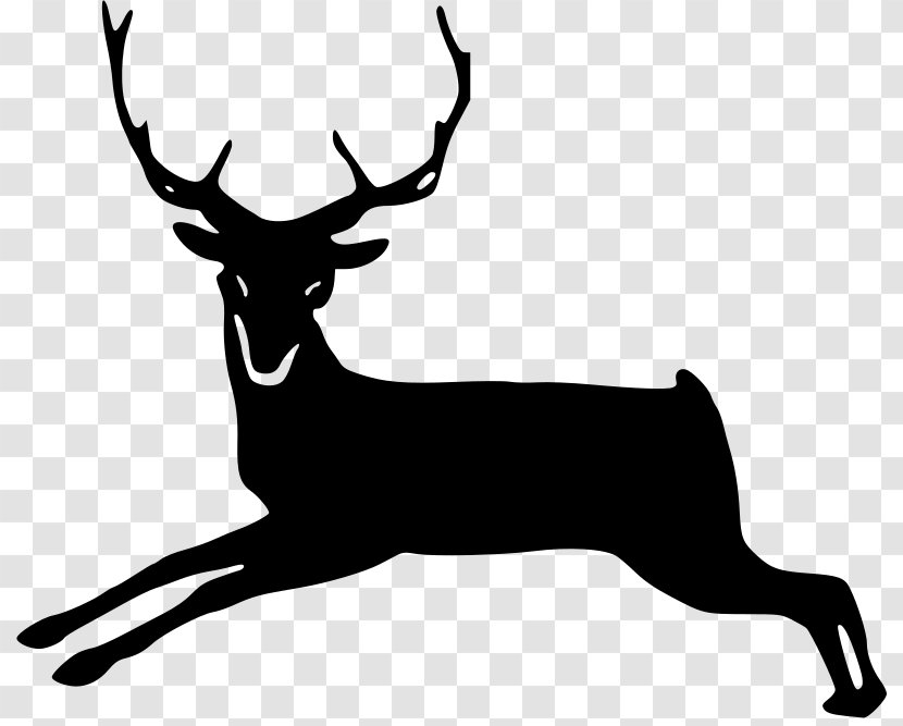Reindeer White-tailed Deer Antler Clip Art - Whitetailed Transparent PNG