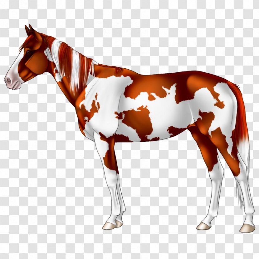 Mustang Foal Pony Stallion Mare - Sorrel Transparent PNG