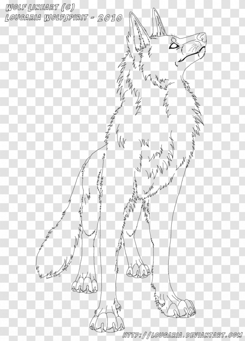 Line Art Drawing Red Fox Sketch - Gray Wolf - Arctic Transparent PNG