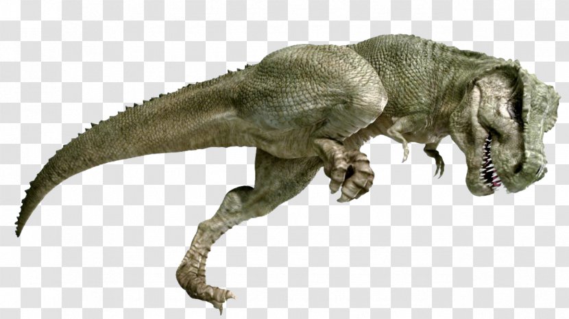 Tyrannosaurus Velociraptor Extinction Terrestrial Animal - Dinosaur - T-rex Transparent PNG