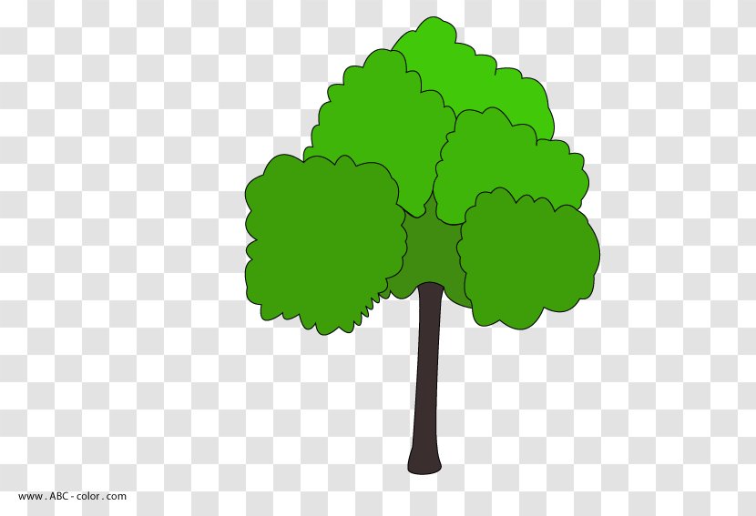 Drawing Tree Oak Raster Graphics Coloring Book - Digital Image Transparent PNG