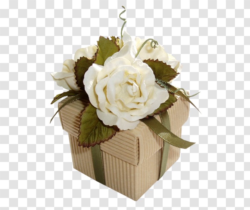 Gift Flower - Plant Transparent PNG