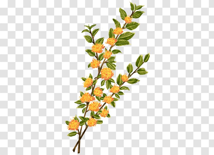 Twig Plant Stem Leaf Flowering Transparent PNG