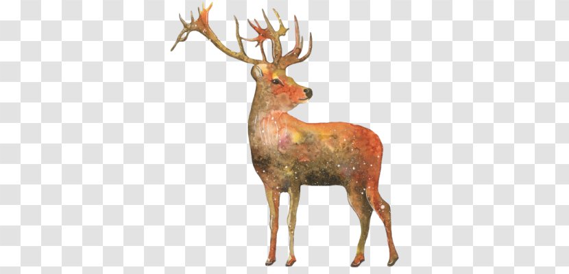 Reindeer Multiple Exposure - Deer Transparent PNG