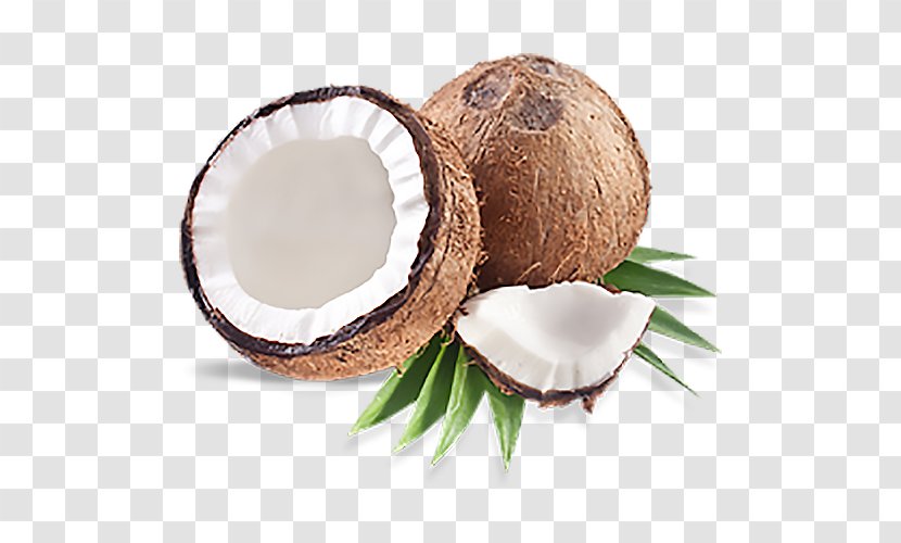 บังและห์ ไอศครีมกะทิสด Incense Wholesale Perfume Flavor - Patchouli - кокос Transparent PNG