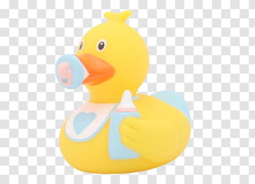 Rubber Duck Bath Toy Boy - Vertebrate Transparent PNG