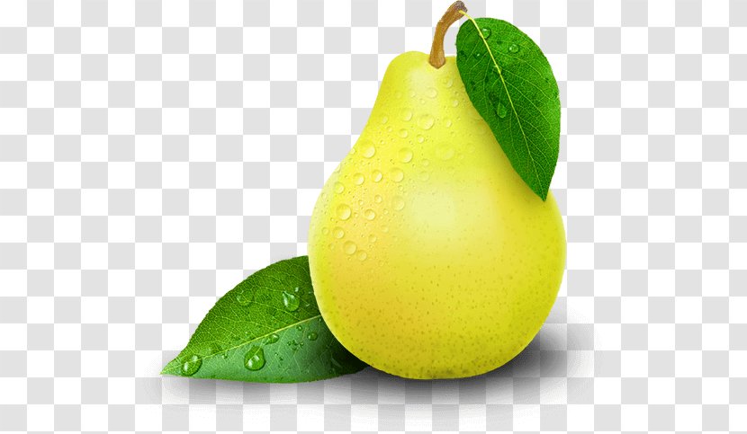 Williams Pear Lemon-lime Drink Key Lime - Fruit Tree - Icon Transparent PNG
