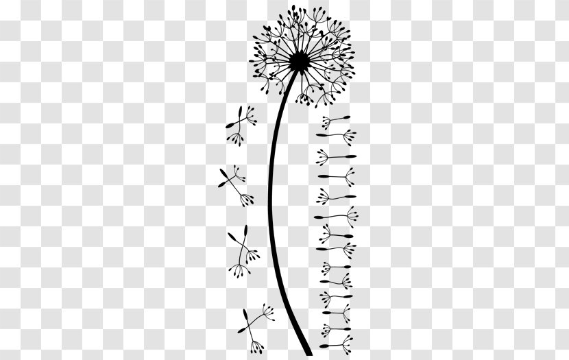 Wall Decals Dandelion Room Black And White Leaf - Flowering Plant - Joint Base Pearl Harborhickam Transparent PNG