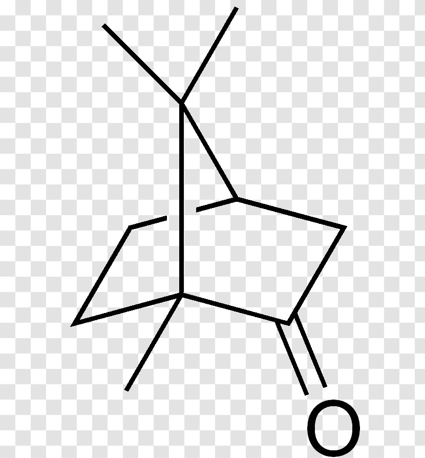 Camphor Tree Bornane-2,3-dione Terpene Terpenoid - Heart - Frame Transparent PNG