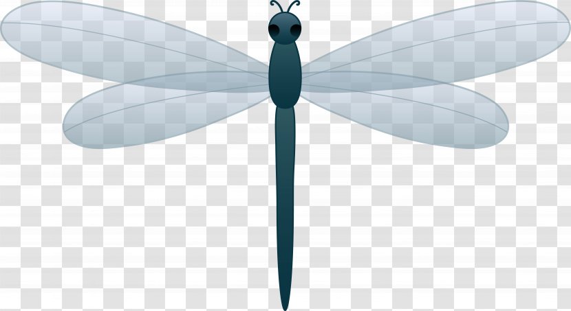 Butterfly Energy - Dragonfly Cliparts Transparent PNG