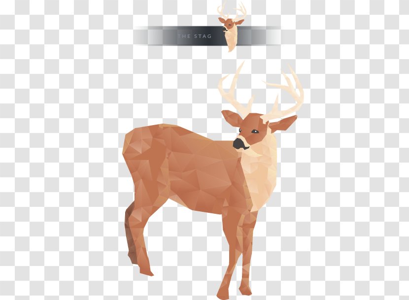 Reindeer White-tailed Deer Sticker Wall Decal - Low Poly Animals Transparent PNG